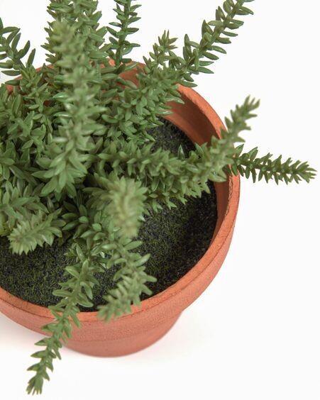 Planta artificial Romero con maceta marrón 23 cm