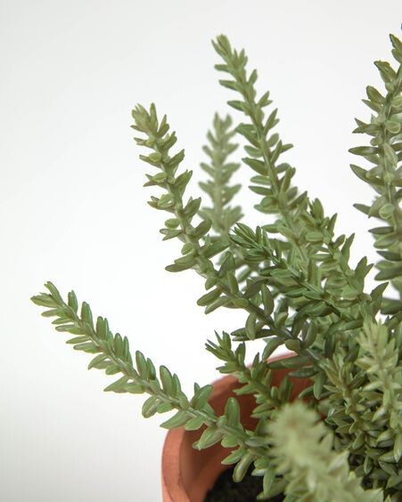 Planta artificial Romero con maceta marrón 23 cm