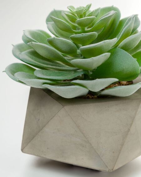 Planta artificial Echeveria glauca con maceta de cemento 14 cm