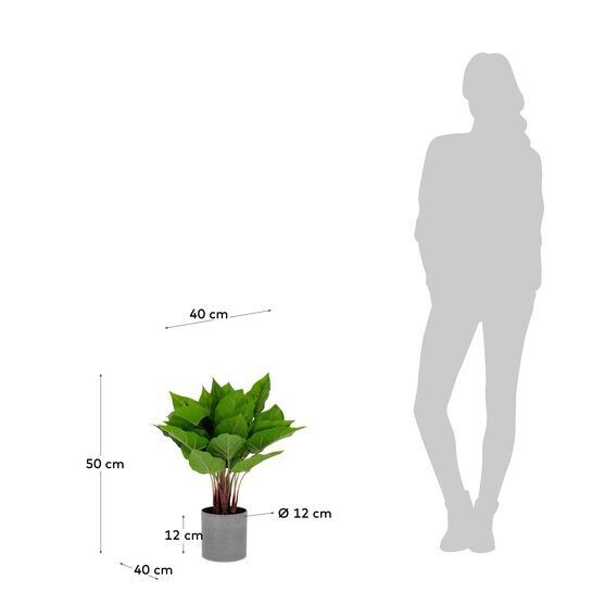 Planta artificial Anthurium con maceta de cemento 50 cm