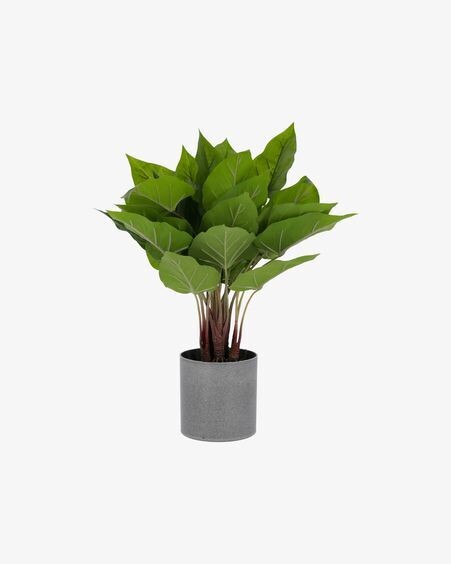 Planta artificial Anthurium con maceta de cemento 50 cm