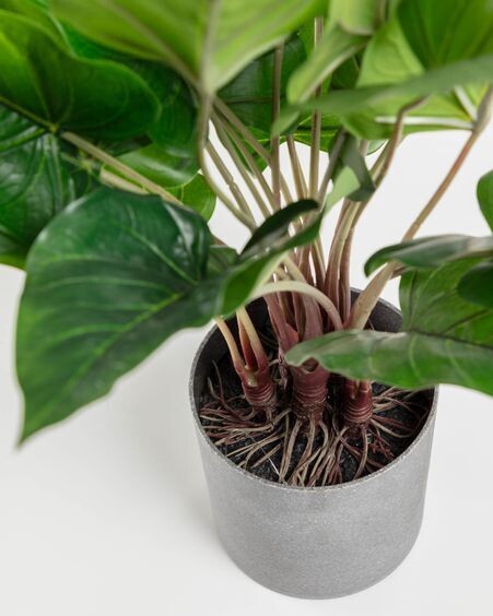 Planta artificial Anthurium con maceta de cemento 50 cm