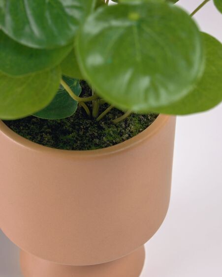 Planta artificial Bailey con maceta de cerámica rosa 21,6 cm