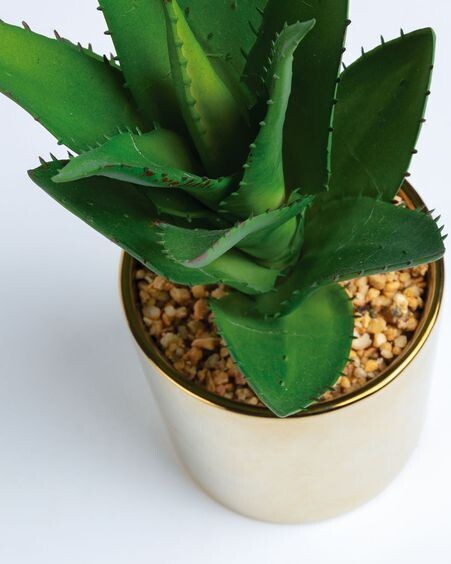 Planta artificial Agave con maceta de cerámica dorado 11 cm