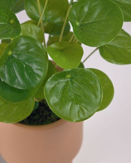 Planta artificial Bailey con maceta de cerámica rosa 21,6 cm