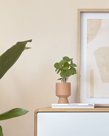 Planta artificial Bailey con maceta de cerámica rosa 21,6 cm