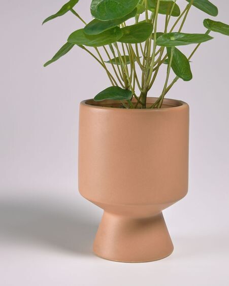 Planta artificial Bailey con maceta de cerámica rosa 21,6 cm