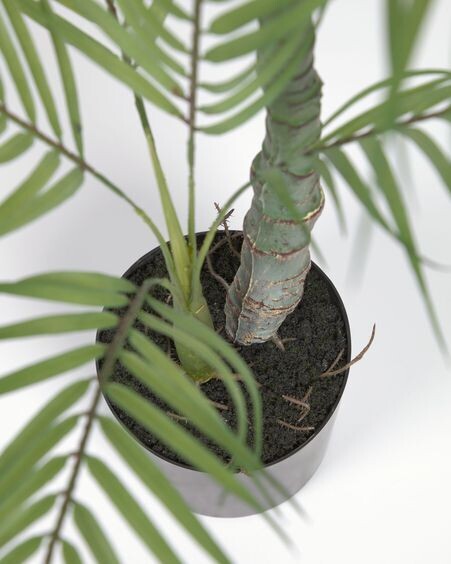 Planta artificial Palmera con maceta negro 70 cm