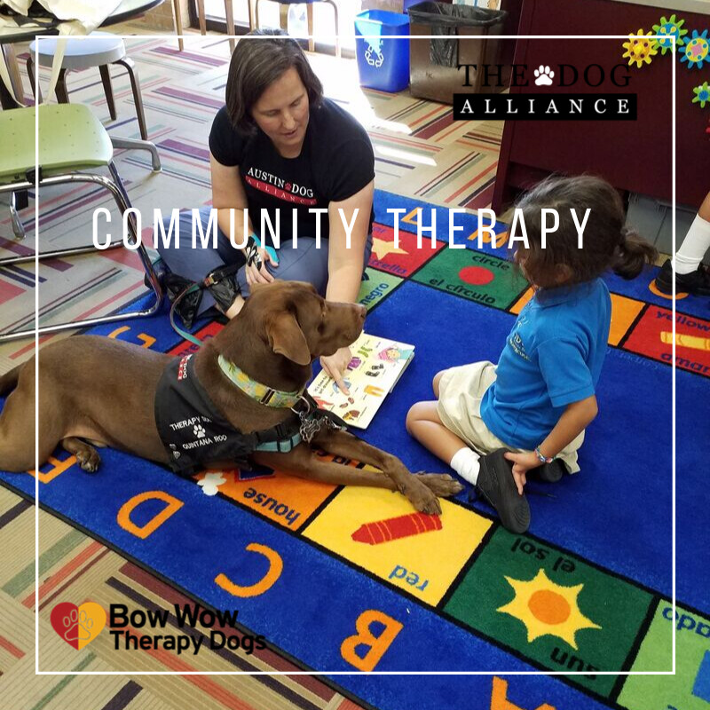 Donation to Support Bow Wow Therapy Dog Program