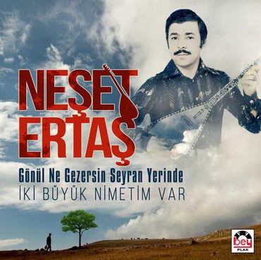 Gönül Ne Gezersin Seyran Yerinde - Neşet Ertaş