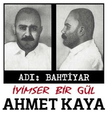 İyimser Bir Gül - Ahmet Kaya