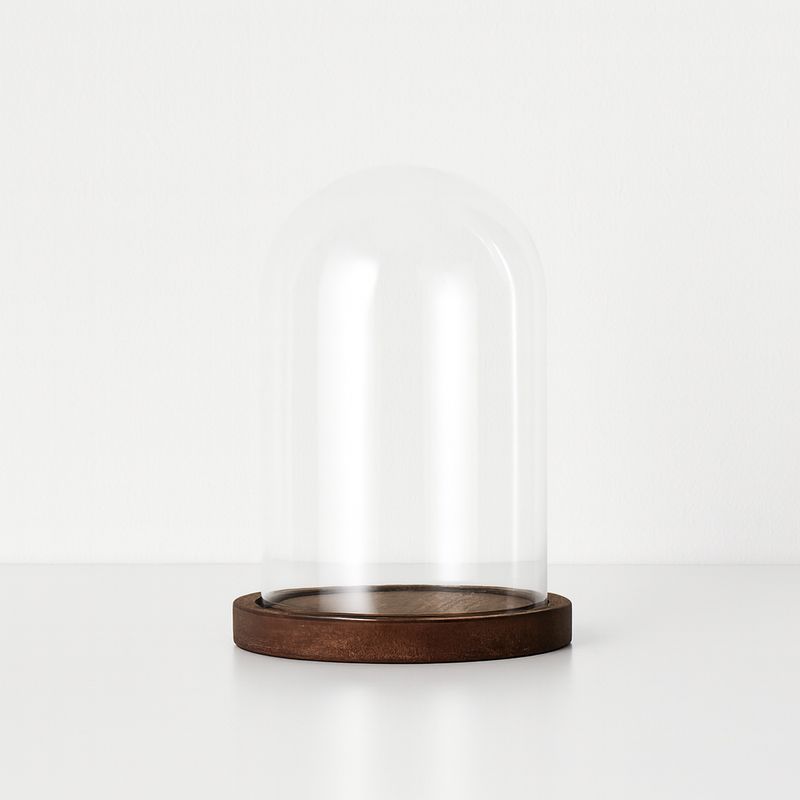 Glass dome with medium dark wooden base