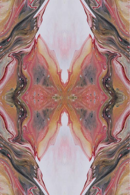 Terms and Conditions