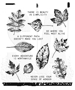 Tim Holtz Cling Mount Stamps: Nature&#39;s Wonder