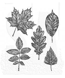 Tim Holtz Cling Mount Stamps: Sketchy Leaves