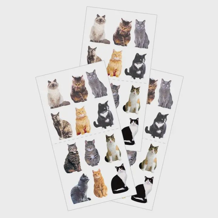 Mini Mixed Cats Sticker - Flat Design