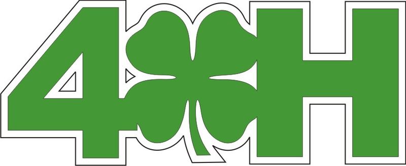 4H