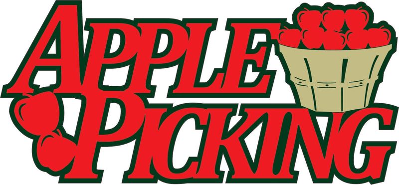 Apple Picking