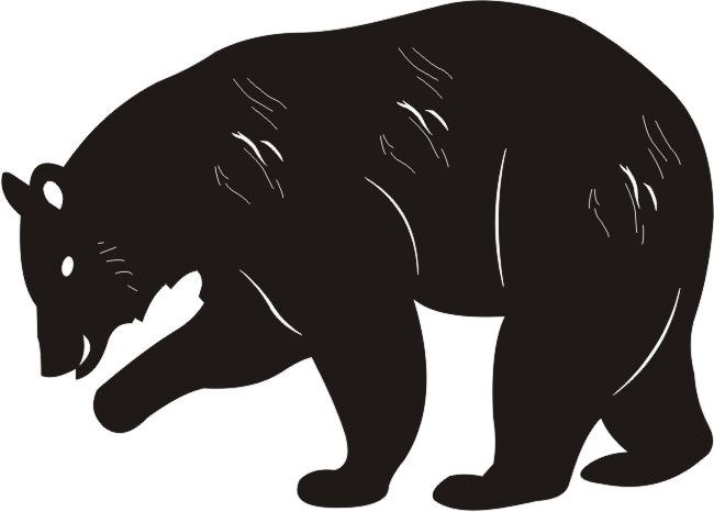 Black Bear