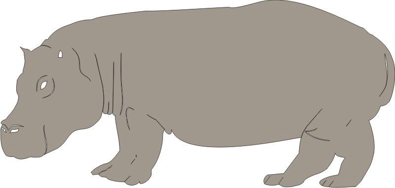 Hippo