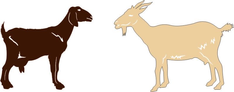 Goats ( set of 2 )