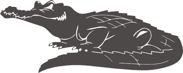 Alligator