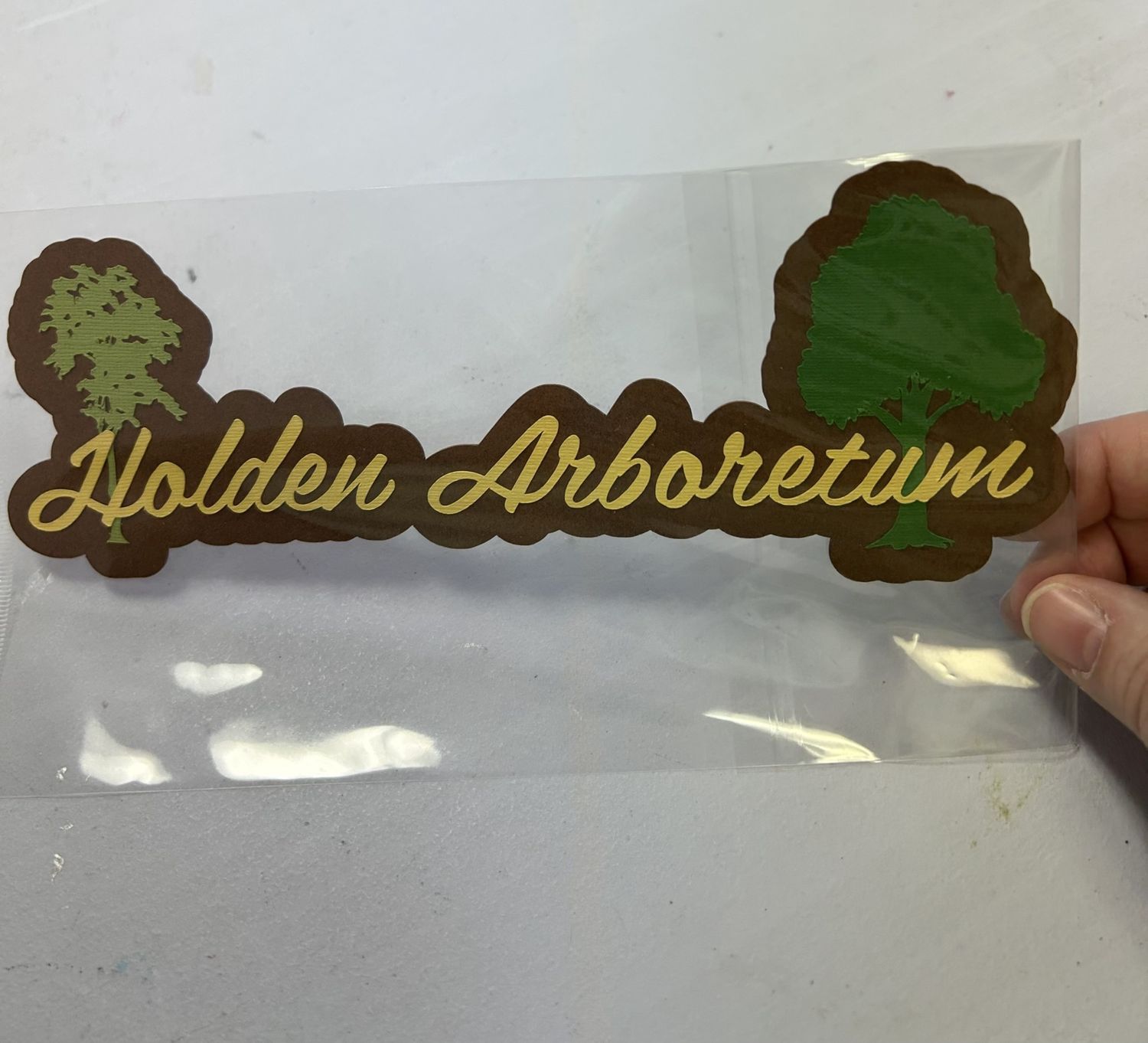 Holden Arboretum