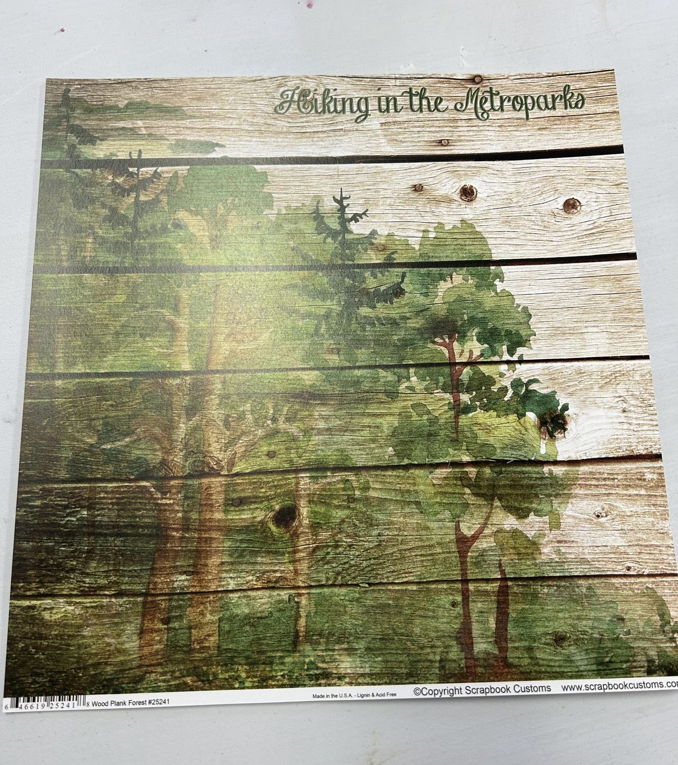 Hiking In The Metroparks Wood Plank Forest 12x12 Paper
