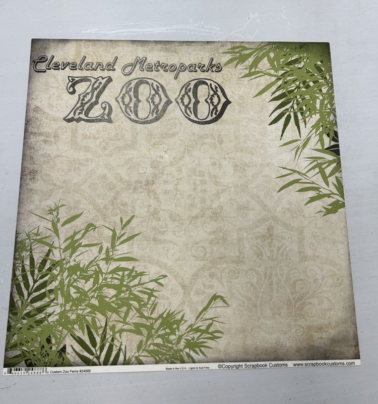 Cleveland Metroparks Zoo Ferns