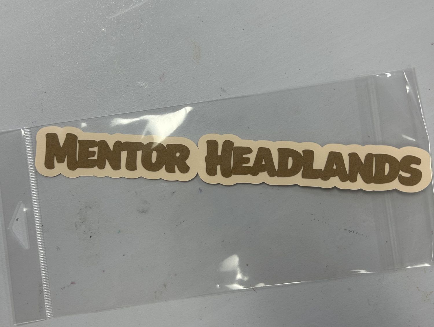 Mentor Headlands