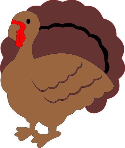 Turkey (animal)