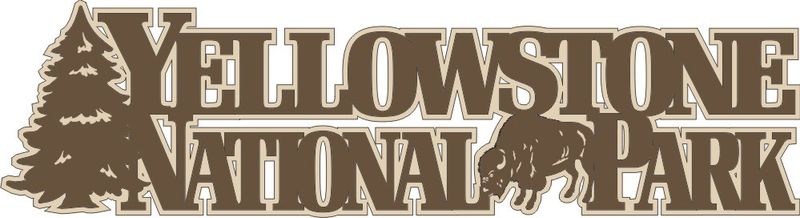 Yellowstone National Park with Trees