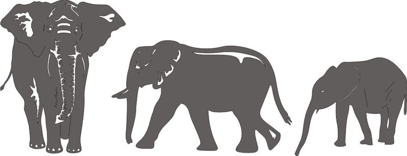 Elephants ( set of 3 )