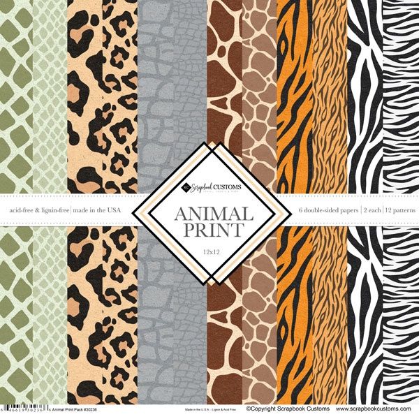 Animal Print 12x12 Pack (2ea of 6) Paper