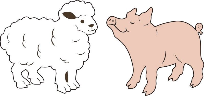 Sheep &amp; Pig