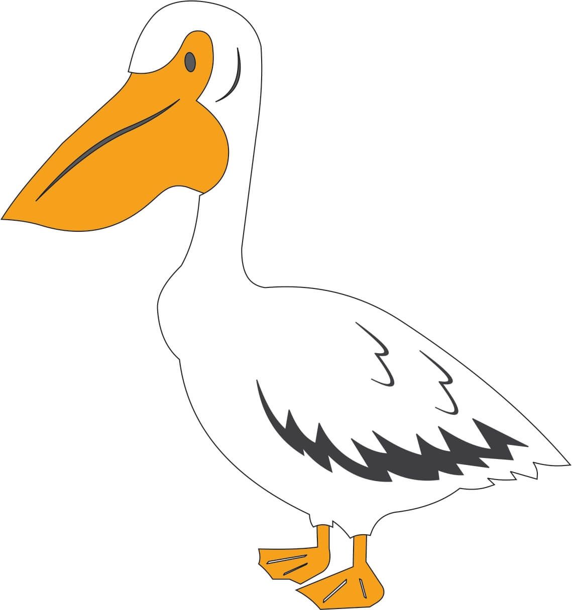 Pelican