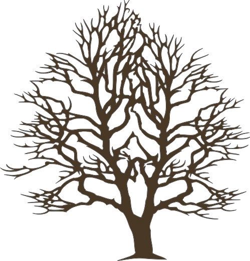 Trees (petite set of 2)