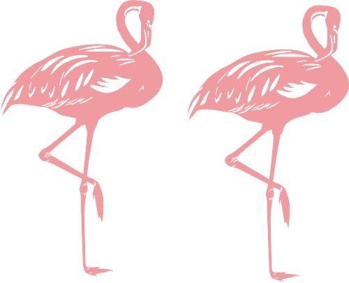 Pink Flamingos ( set of 2 )
