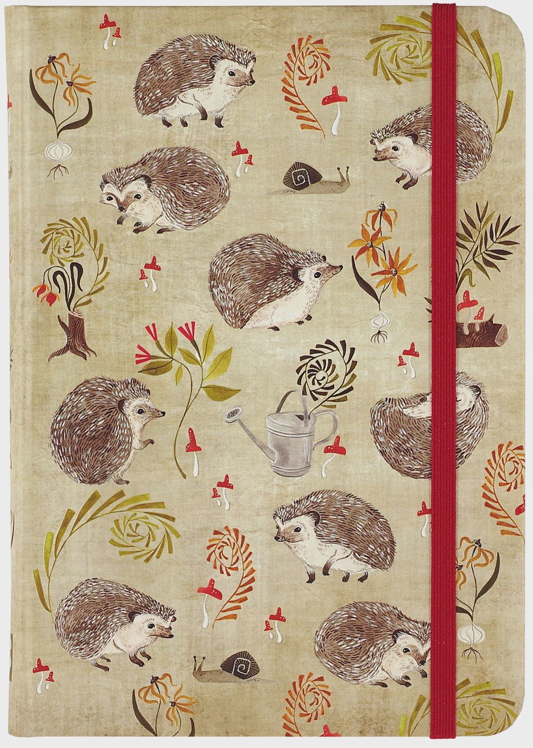 Hedgehogs Journal