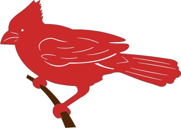 Cardinal