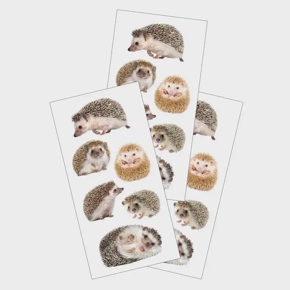 Decorative Stickers - Hedgehogs