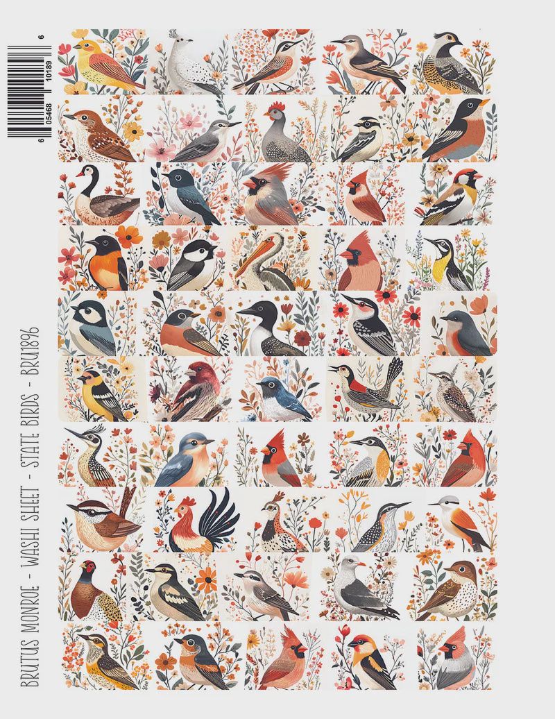 State Birds | Washi Sheet