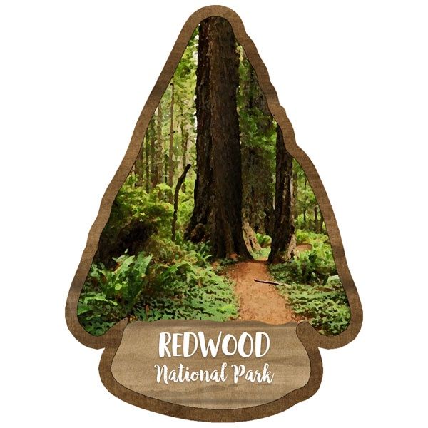 Redwood National Park Watercolor Laser