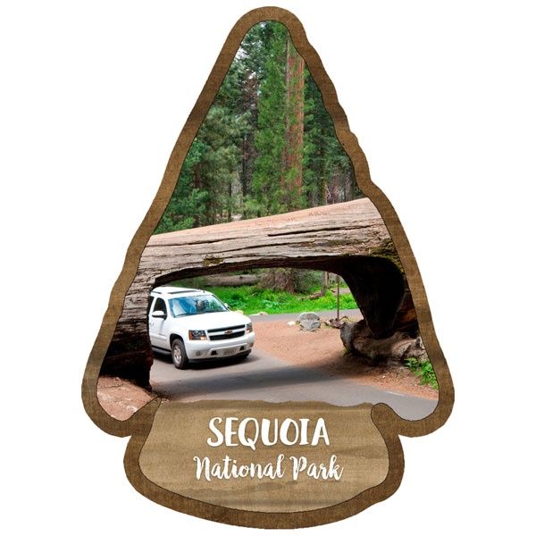Sequoia National Park Watercolor Laser