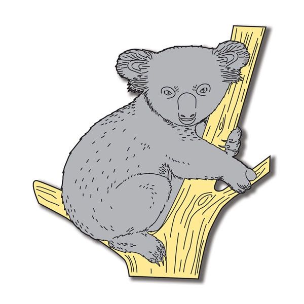 Koala Bear Laser