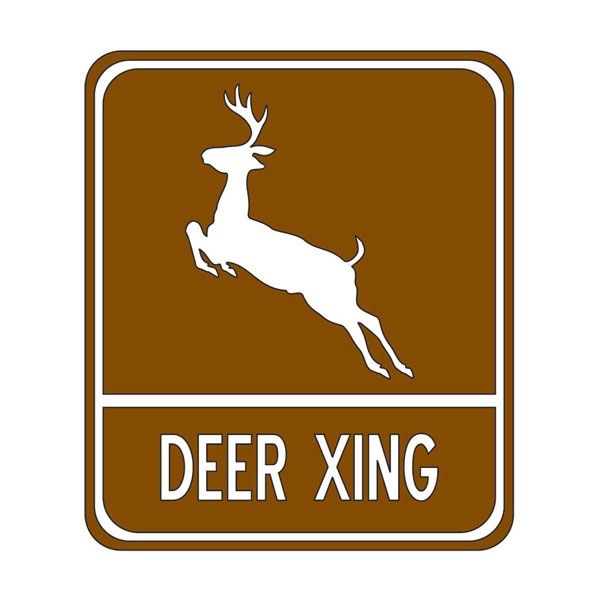 Deer Xing Laser