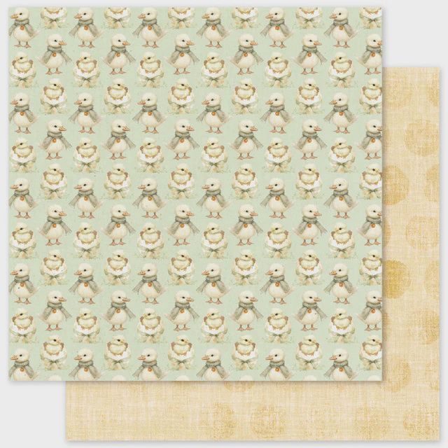 The Carrot Patch Basics D 12x12 Paper