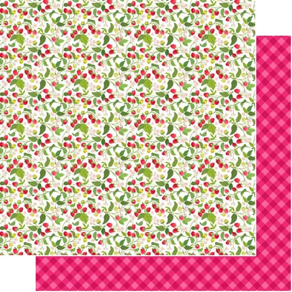 Raspberries Gingham DS Paper