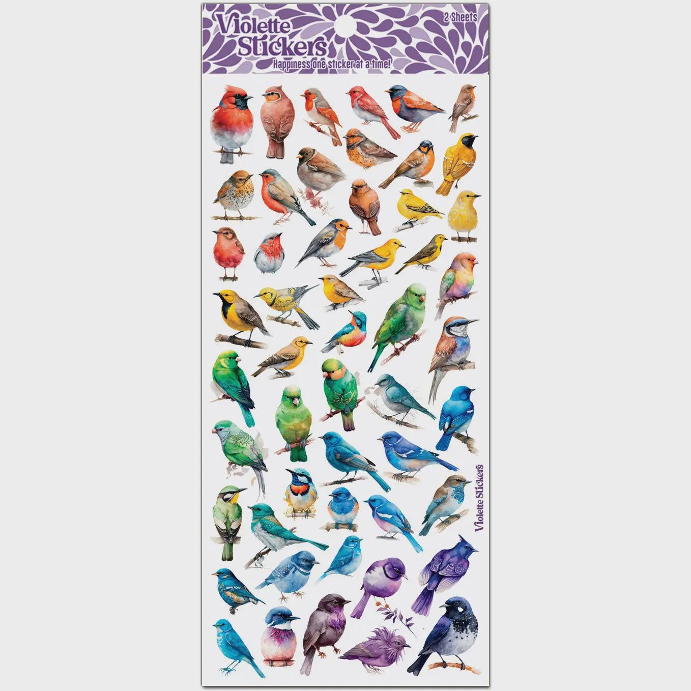 C206 Rainbow Birds