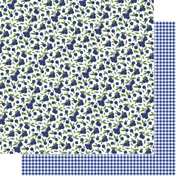 Blueberries Fruit DS Paper
